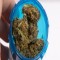 Candyland Marijuana